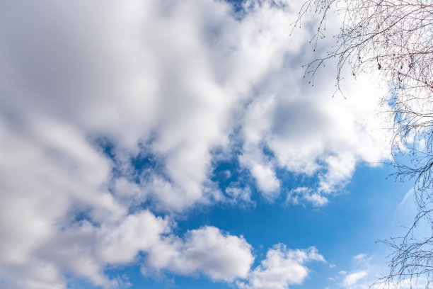 一棵没有叶子的白桦树的细枝，映衬着蔚蓝多云的天空。图片下载