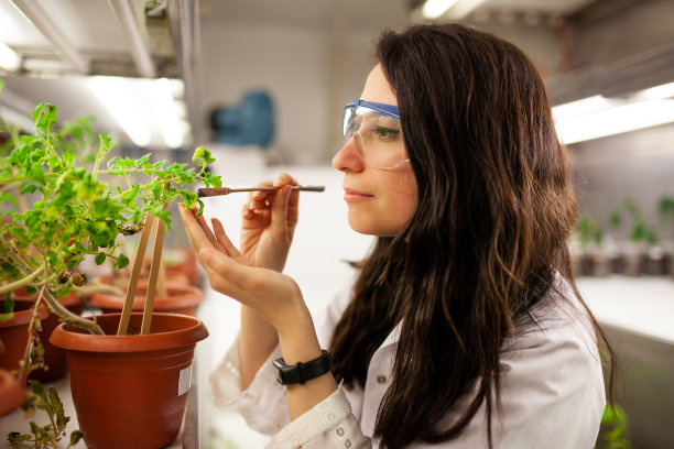 科学家检查工厂图片下载