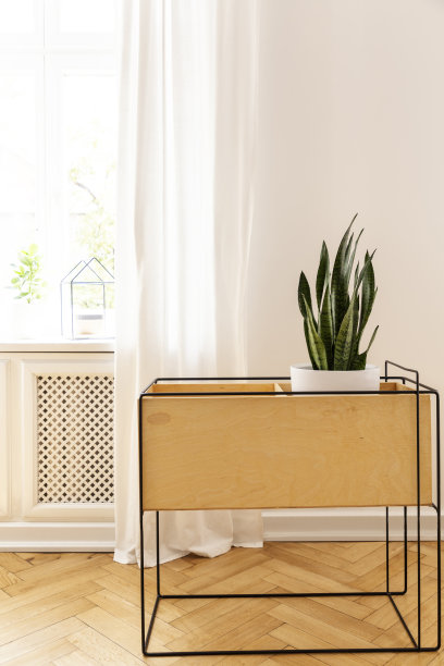 在最小的白色房间内的木质橱柜上种植植物，窗户上挂着窗帘。真实的照片图片下载