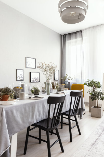 明亮的客厅室内的真实照片与窗户与窗帘，新鲜的植物，墙上的海报和餐桌与餐具的朋友会议图片下载