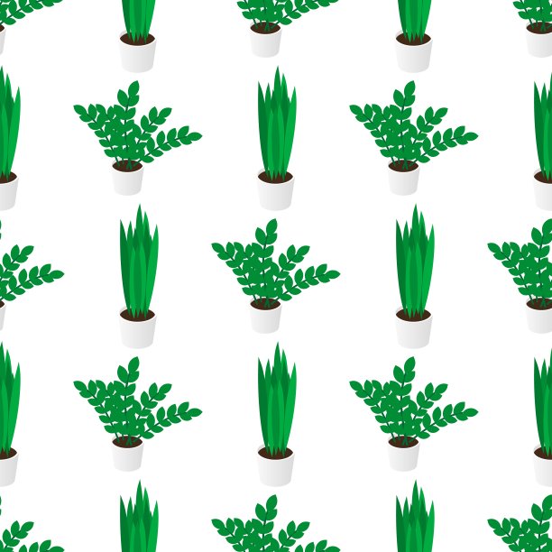 家庭盆栽无缝创意图案图片下载