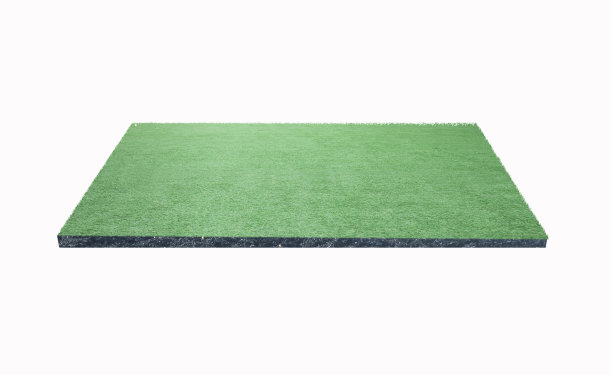 背景为绿草地板和土壤地面。图片下载