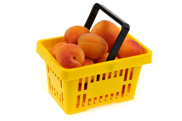 白底上的杏子篮子图片下载