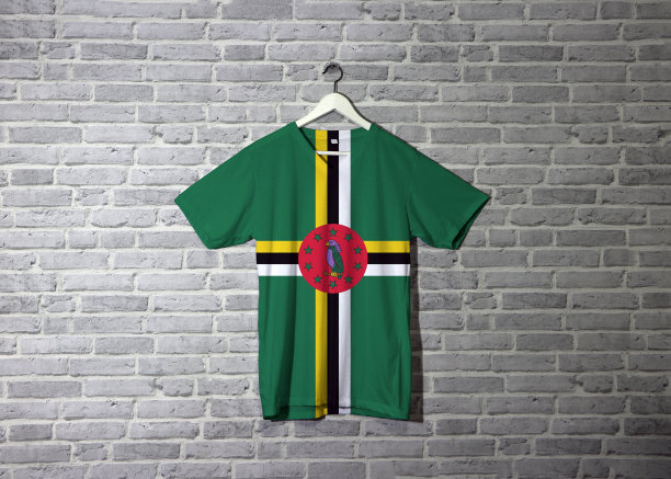 衬衫上挂着多米尼加国旗，墙上挂着砖纹墙纸。图片下载