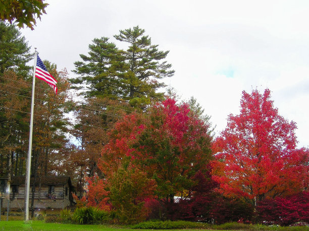 美国国旗红、白、蓝三色生动地展示了秋天的色彩图片下载