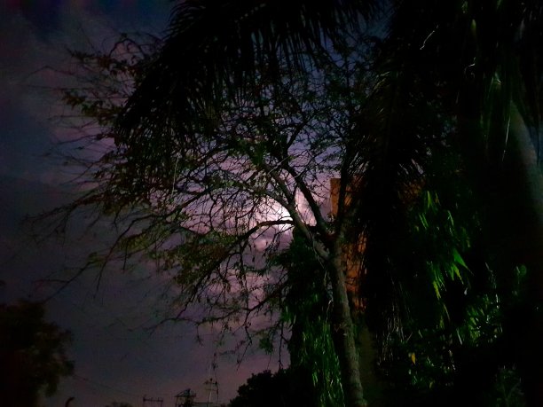 粉红色的月亮图片下载