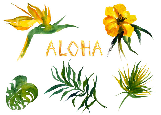 奇异的叶和花水彩Se图片下载