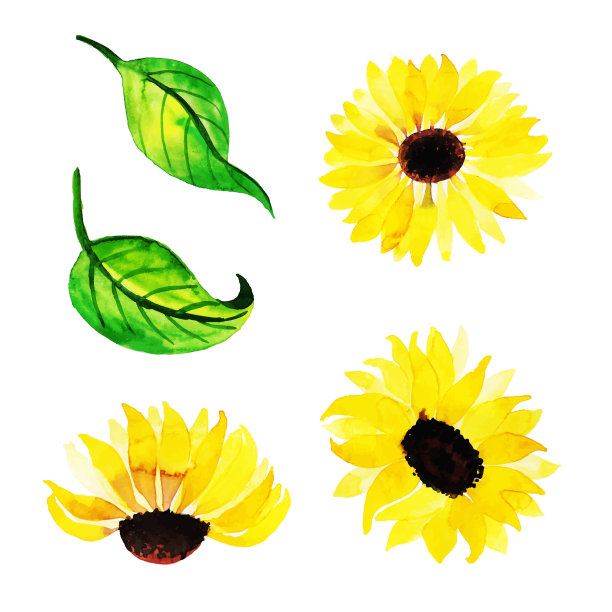 水彩春季花卉元素图片下载