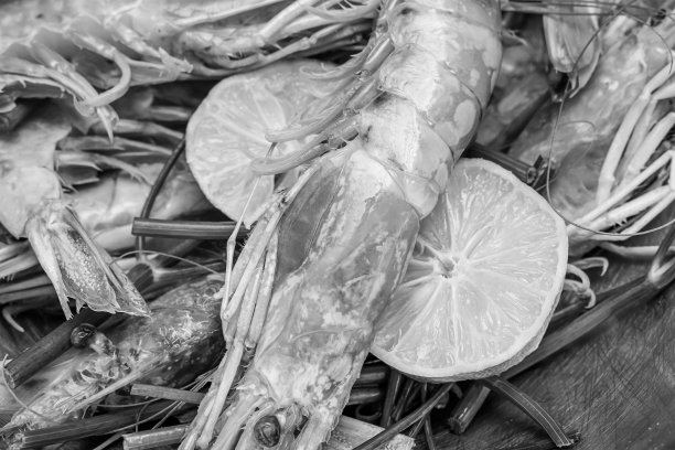 色调背景基地虾大阿根廷网站设计菜肴亚洲泰国越南马来西亚菜肴靠近海洋的国家图片下载