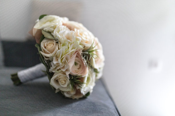 新娘花图片下载