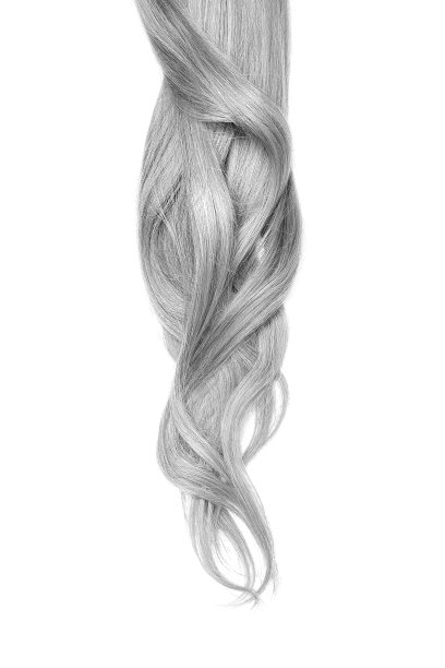 长波浪灰色头发孤立在白色背景图片下载