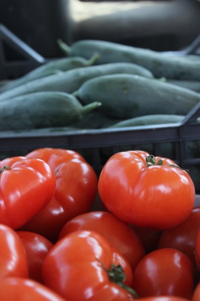 新鲜的红番茄图片下载