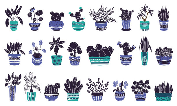 室内矢量植物套装图片下载