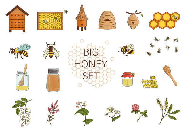 蜂蜜集图片下载