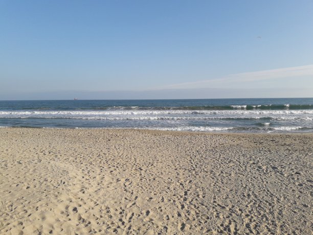 春天的瓦尔纳海滩图片下载