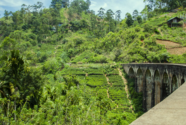 斯里兰卡埃拉的九拱桥图片下载