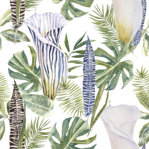 热带树叶方框图片下载