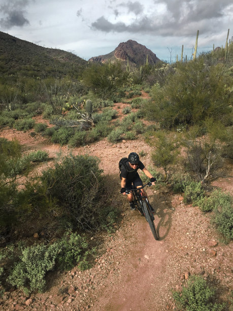 一名骑山地车的男子在亚利桑那州的沙漠中转弯图片下载