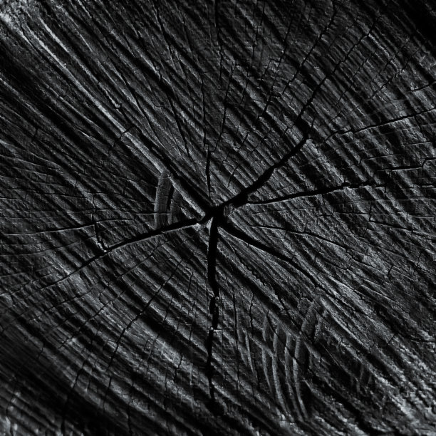 剪下这棵树作为艺术家和设计师的背景图片下载