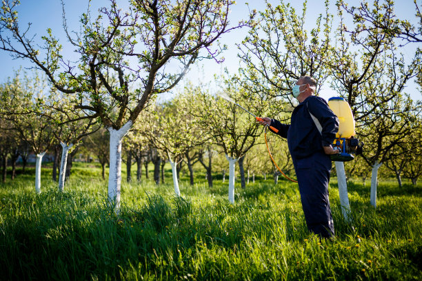 农民，喷洒有机农药。图片下载
