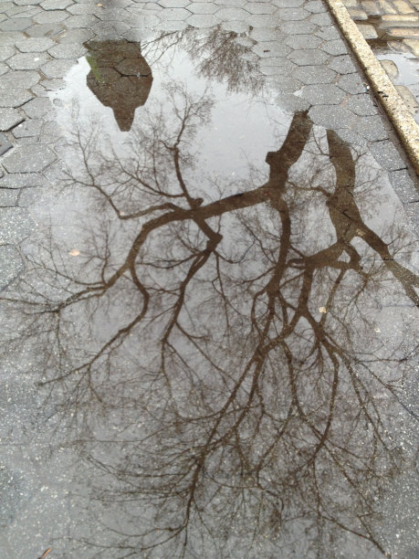 冬天的反射图片下载