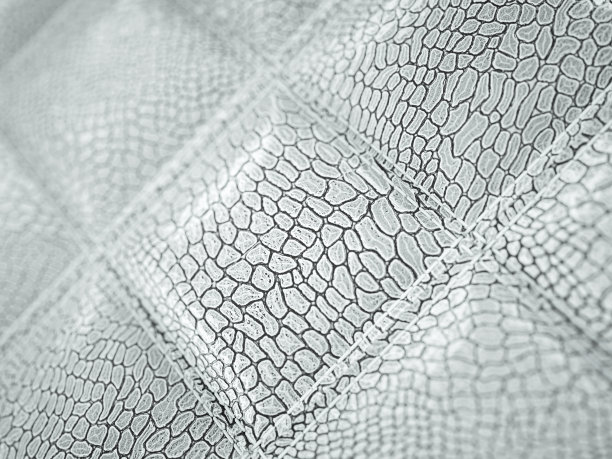 鳄鱼皮或鳄鱼皮。方形缝合纹理或背景有凸起图片下载