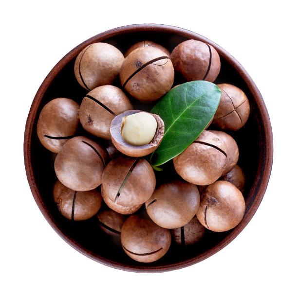 澳大利亚的一种坚果，叶子是绿色的，放在棕色的粘土盘子里图片下载