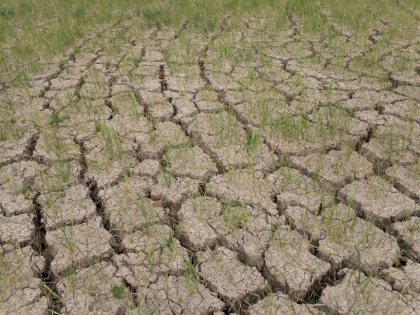 土壤背景图片下载