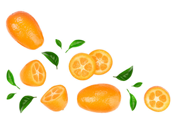 金橘或金橘片孤立的白色背景与复制空间的文本。前视图。平躺图片下载