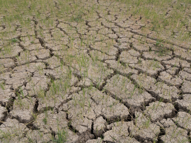 土壤背景图片下载