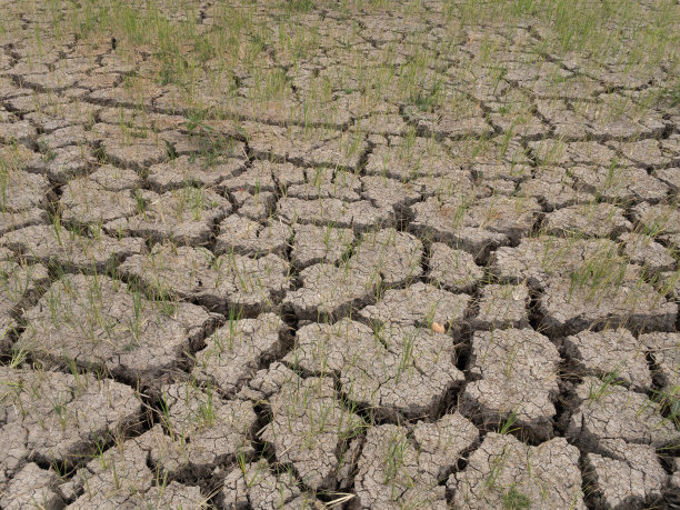 土壤背景图片下载