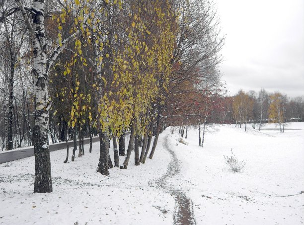 早期融化的雪图片下载