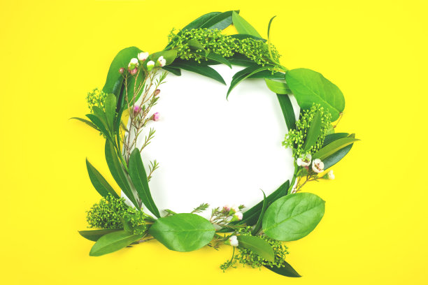 绿叶以花环的形式铺在一张白纸上，背景是黄色的。图片下载