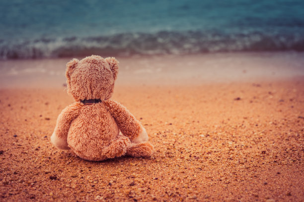 泰迪熊独自坐在海边图片下载