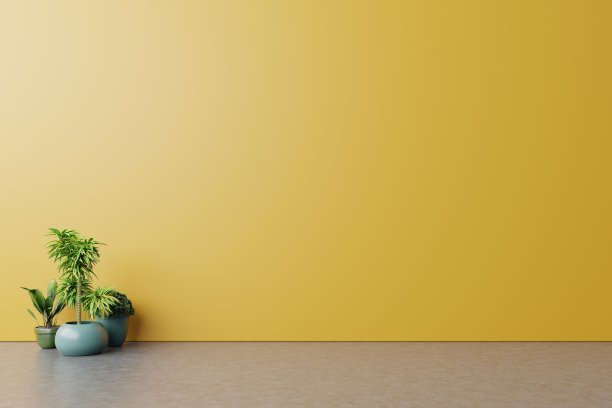 带植物模型的空房间图片下载