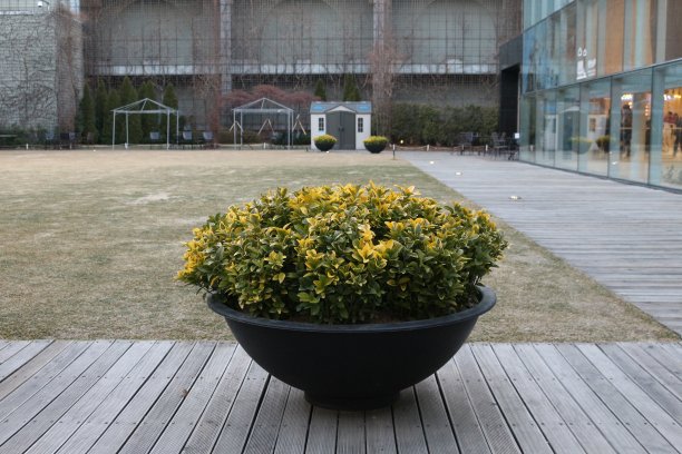 百货商店屋顶上的室外花园图片下载