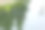 绿草在水里图片下载