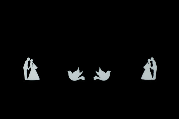 新婚夫妇的剪影图片下载