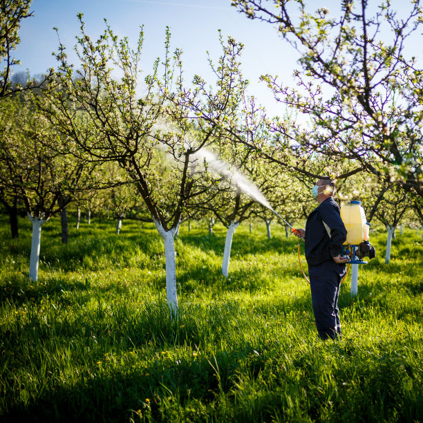 农民，喷洒有机农药。图片下载