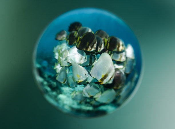 海洋的影响图片下载