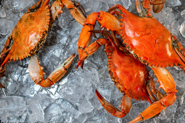 一组冰蒸青蟹整只图片下载