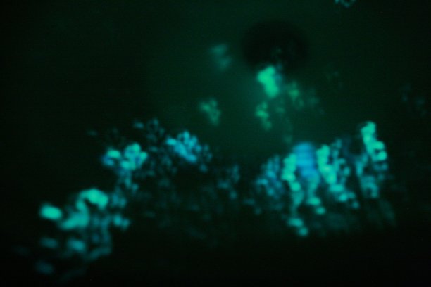 蓝绿光图片下载