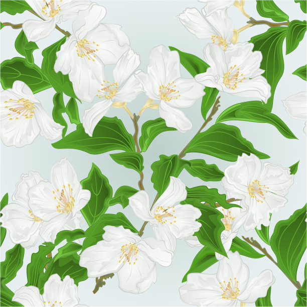 无缝纹理花茉莉枝蓝色背景复古矢量插图编辑图片下载