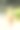 狗公园玩图片下载