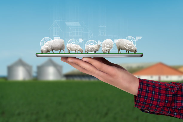 一个农民拿着一块碑，旁边还有一群羊图片下载