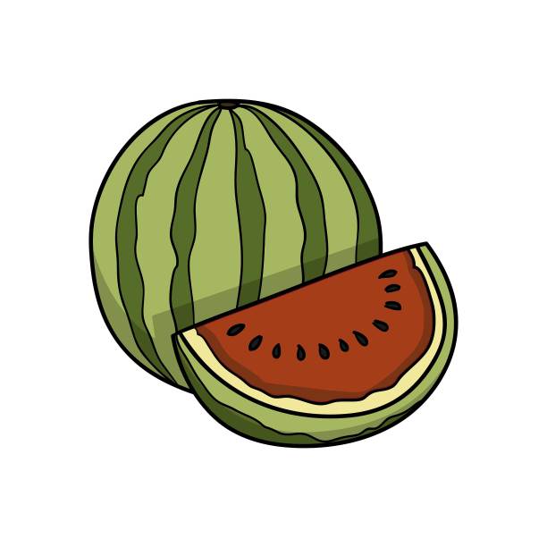 西瓜片说明图片下载