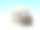 银行大楼与钱包与欧元纸币- 3D渲染图片下载