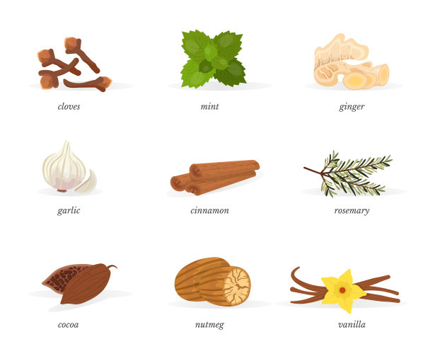 香料矢量插图集图片下载