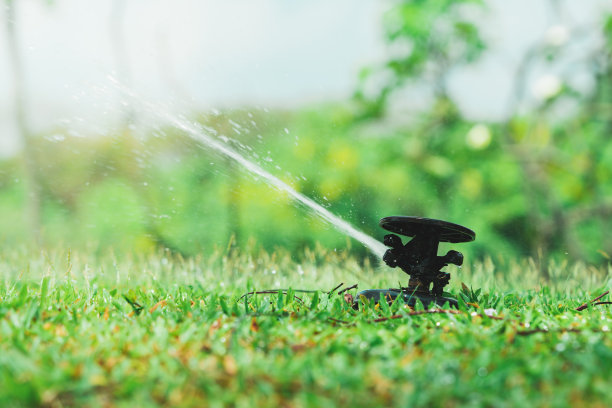 近距离低角度自动洒水喷头图片下载