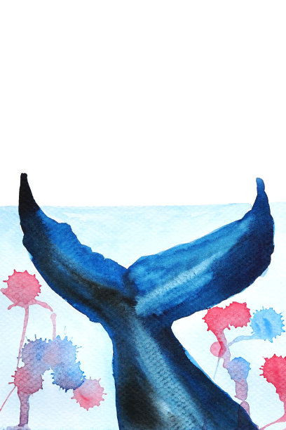 鲸鱼水彩插图。图片下载
